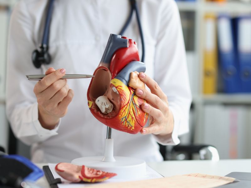 consulta cardiologista fortaleza